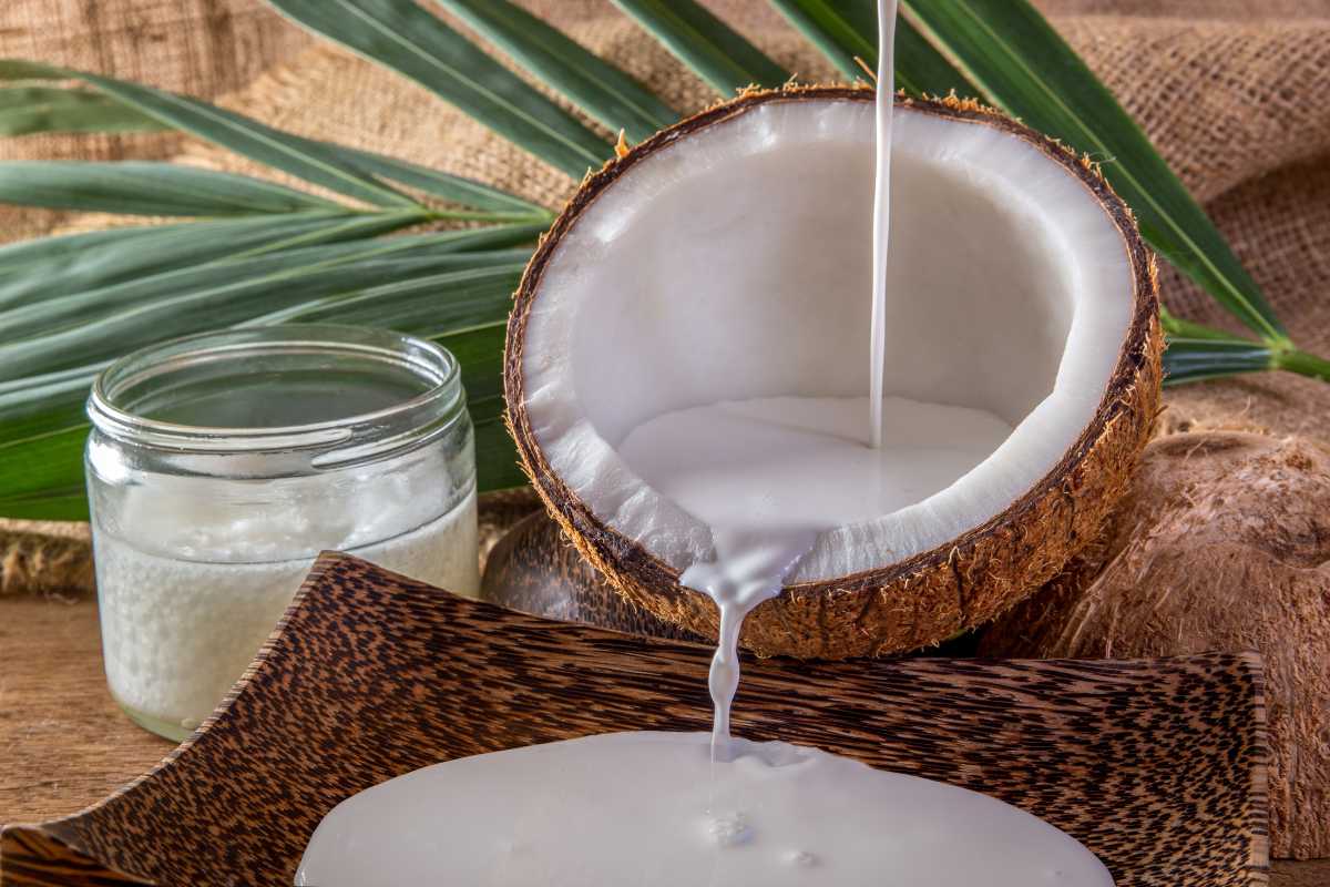 blogindlæg om kokosmælk